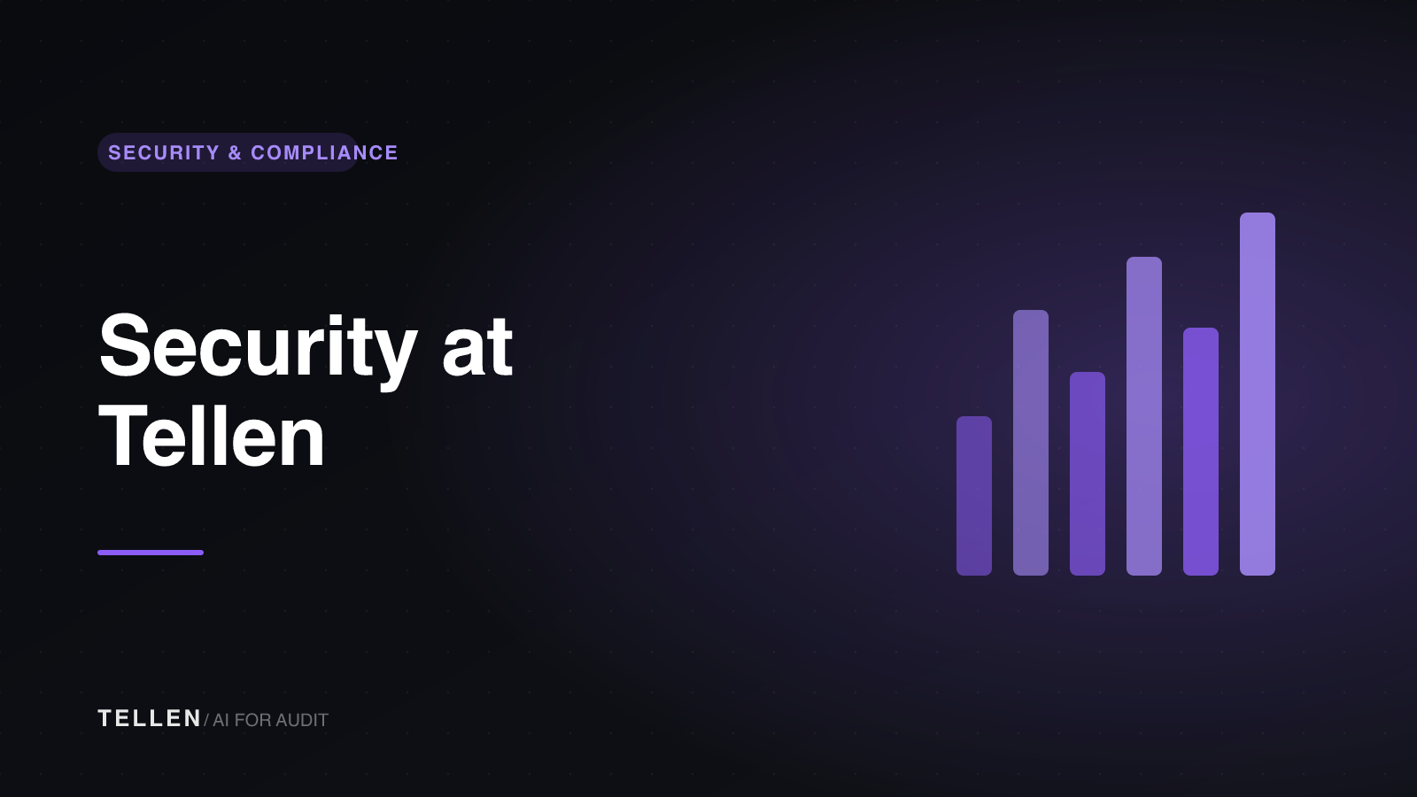 Header image for Security at Tellen